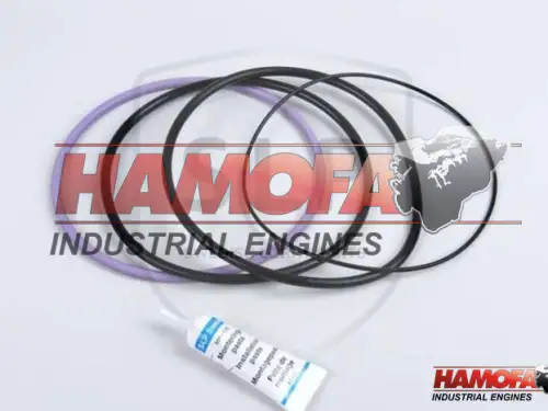 VOLVO O-RING SET CYLINDER LINER 270950 NIEUW