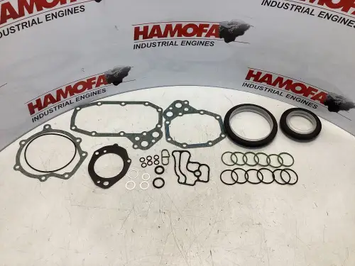 KIT DE JUNTA DE CARTER MERCEDES A 906 010 09 06 NUEVO - Imagen miniatura 1