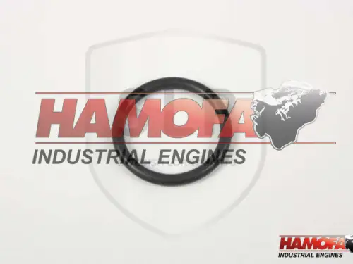 VOLVO O-RING 20405599 NUEVO