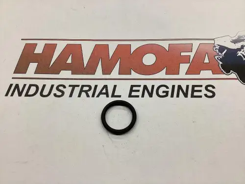 DEUTZ O-RING 04210381 NOUVEAU