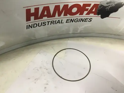 DAF O-RING CYLINDER LINER 252720 NEW