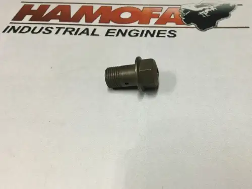 БОЛТ ИНЖЕКТОРА VOLVO 33423856 НОВЫЙ