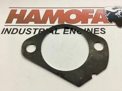 DEUTZ JUNTA DE BOMBA UNITARIA 1,20MM GRUESA 04287635 NUEVA