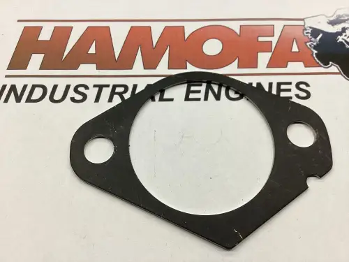 JUNTA DE BOMBAS UNITARIAS DEUTZ 1,00MM DE ESPESOR 04287631 NUEVA