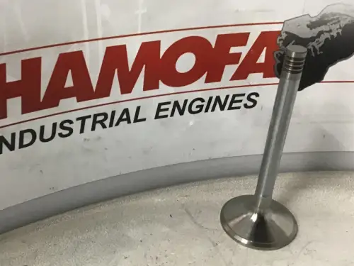 MAN INTAKE VALVE 51.04101-0499 NEW - Thumb image 1