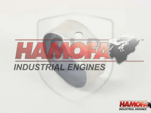VOLVO CAMSHAFT BEARING 422081 NEW