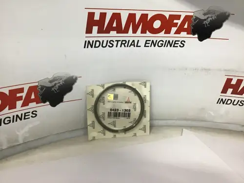 DEUTZ KOLBENRING-SET STD 04231303 NEU