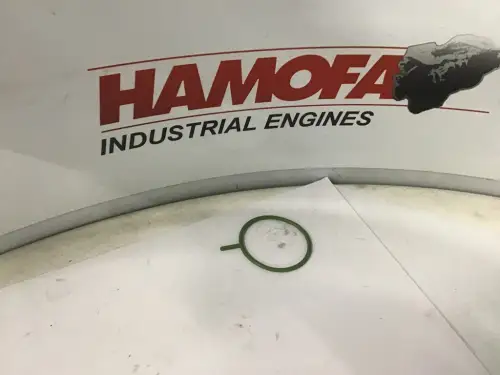 SCANIA O-RING 1507248 NUEVO