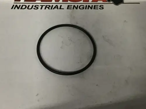 CATERPILLAR O-RING 8C5196 NEU