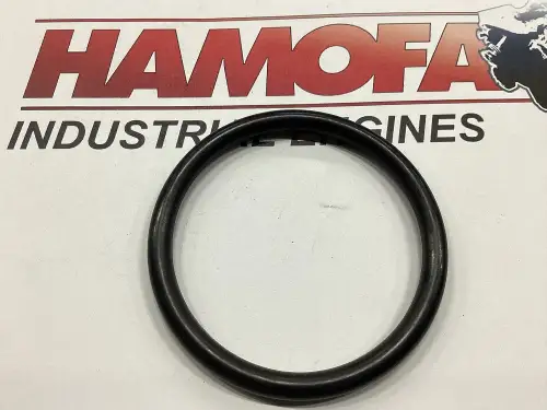 MAN O-RING 06.56936-6405 NEUF