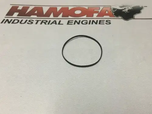 CUMMINS УПЛОТНИТЕЛЬ O-RING 3687210 НОВЫЙ - Миниатюра 1