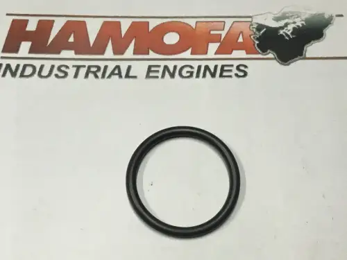 DEUTZ O-SEAL 01180309 NEU