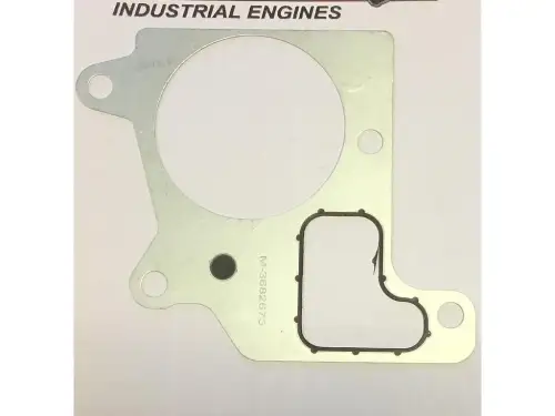 INTERSTATE MCBEE CUM - THERMOSTATGEHÄUSEDICHTUNG M-3682673 NEU