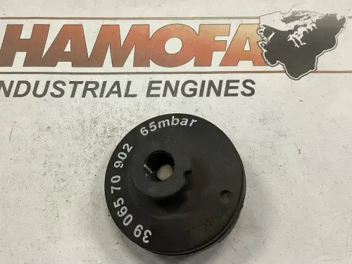 MANN INDICATOR 39 065 70 902 NEW