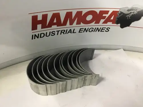 DAF CONNECTING ROD BEARING KIT STD 0117383 NEW