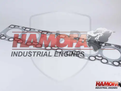 DEUTZ ZYLINDERKOPFDICHTUNG 2G 04900689 NEU
