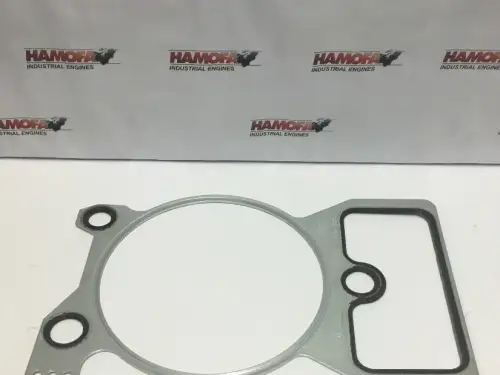 DEUTZ ZYLINDERKOPFDICHTUNG 3G 04264006 NEU