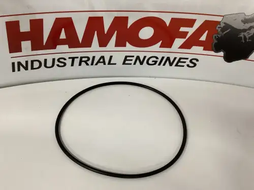 CATERPILLAR O-RING 5F3999 NEW - Thumb image 1