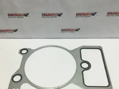 JOINT DE CULASSE DEUTZ 2G 04264005 NEUF