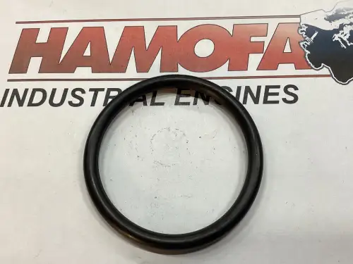 MAN O-RING 06.56930-2223 NEU – Vorschaubild 1