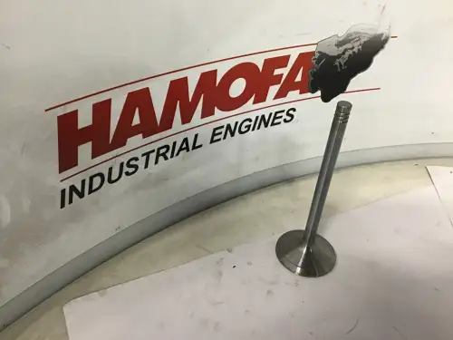 DEUTZ VÁLVULA DE ADMISIÓN 04285263 NUEVA