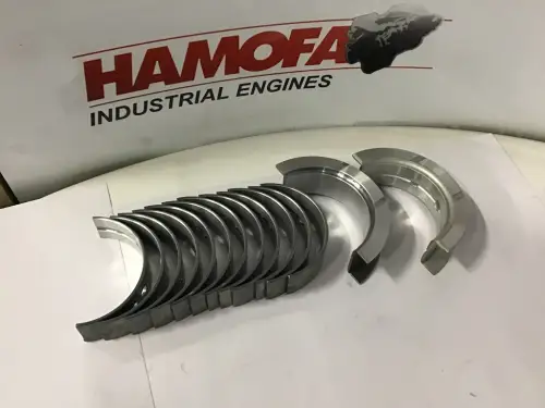 CUMMINS HAUPTLAGERKIT STD 4955521 NEU – Vorschaubild 1