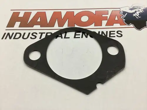 JOINT DE POMPE UNITAIRE DEUTZ 0,85MM D'ÉPAISSEUR 04287628 NEUF