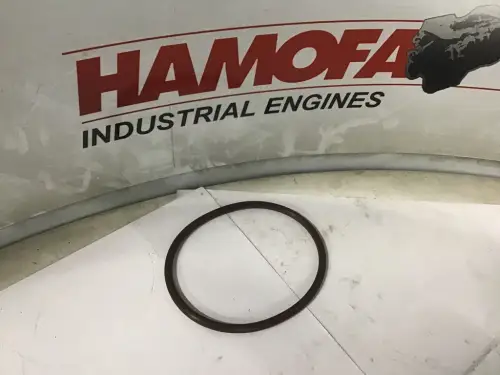 CATERPILLAR O-RING 5S9134 NEUF