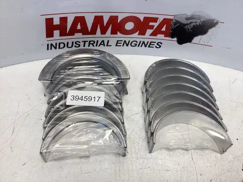 KIT DE COJINETES PRINCIPAUX CUMMINS STD 3802210 NEUF
