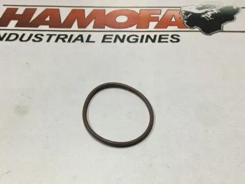 CUMMINS O-RING 3867651 NEUF