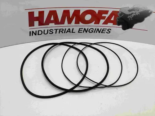 MAHLE КОМПЛЕКТ УПЛОТНЕНИЙ ЦИЛИНДРА 227SK50002000 НОВЫЙ