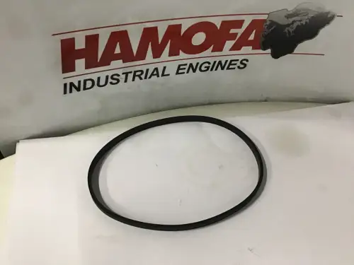 CUMMINS O-RING 3912473 NEU – Vorschaubild 1