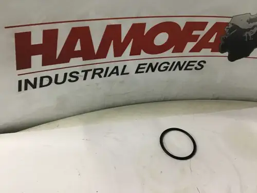 CATERPILLAR O-RING 1079570 NEUF