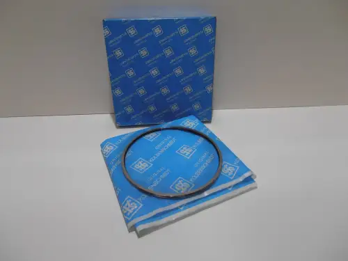 DAF PISTON RING SET DAF 1160 ATI 800005010000 NEW